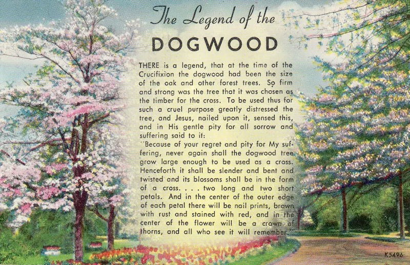 printable legend of the dogwood tree PrintableTemplates